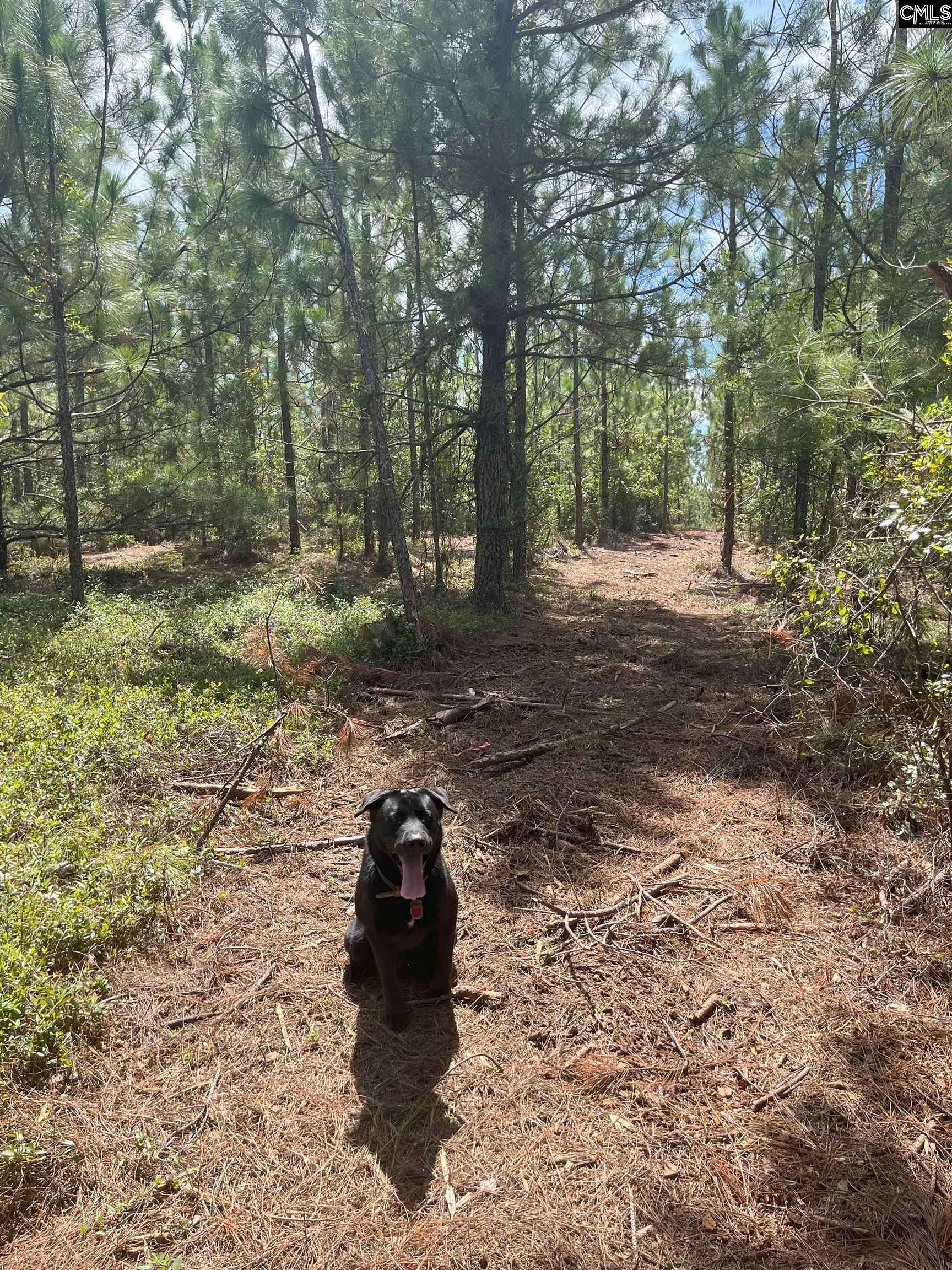 Westville, SC 29175,PPF 10 Payne Pond Road PPF 10 #PPF 10