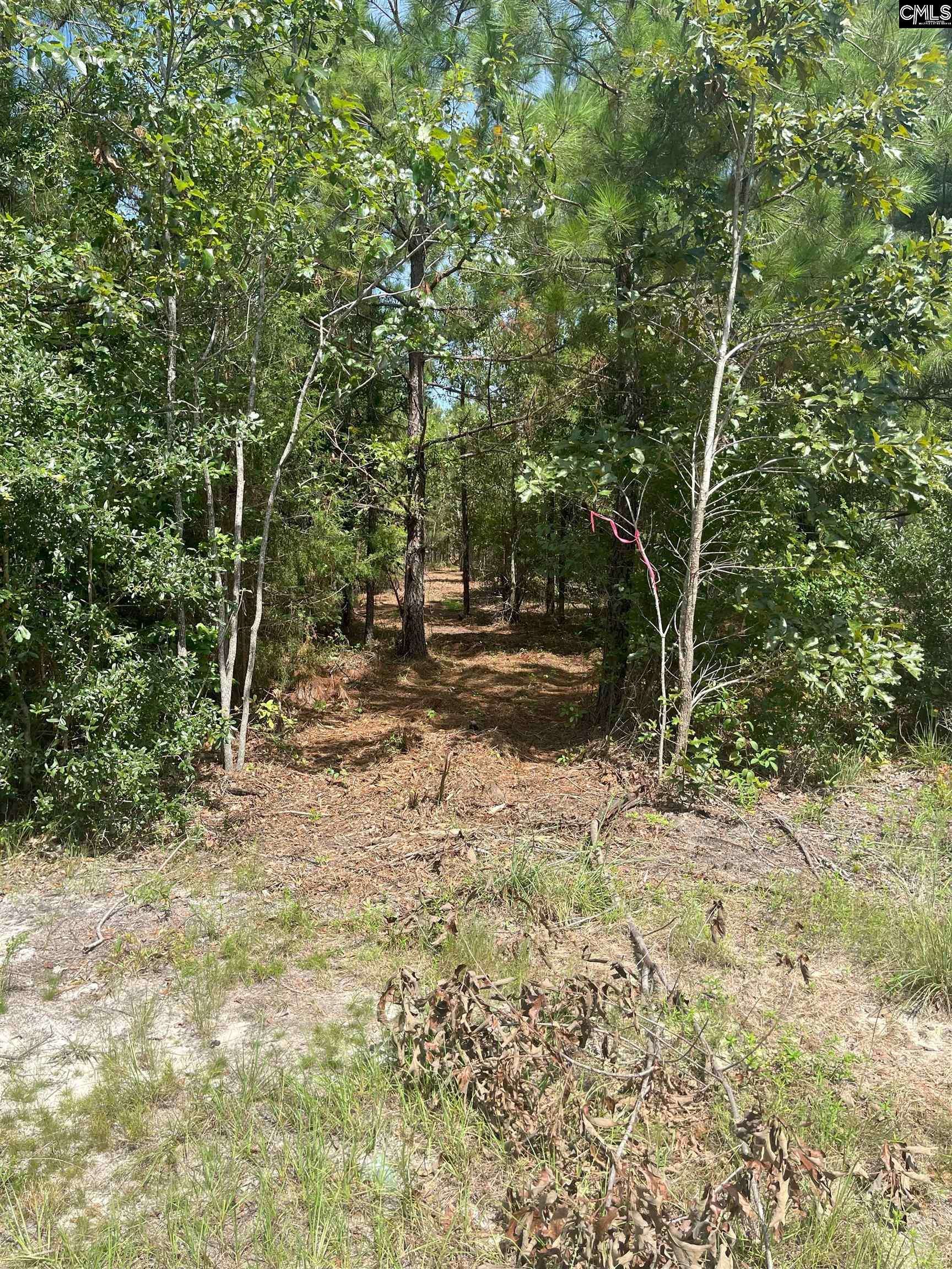 Westville, SC 29175,PPF 10 Payne Pond Road PPF 10 #PPF 10