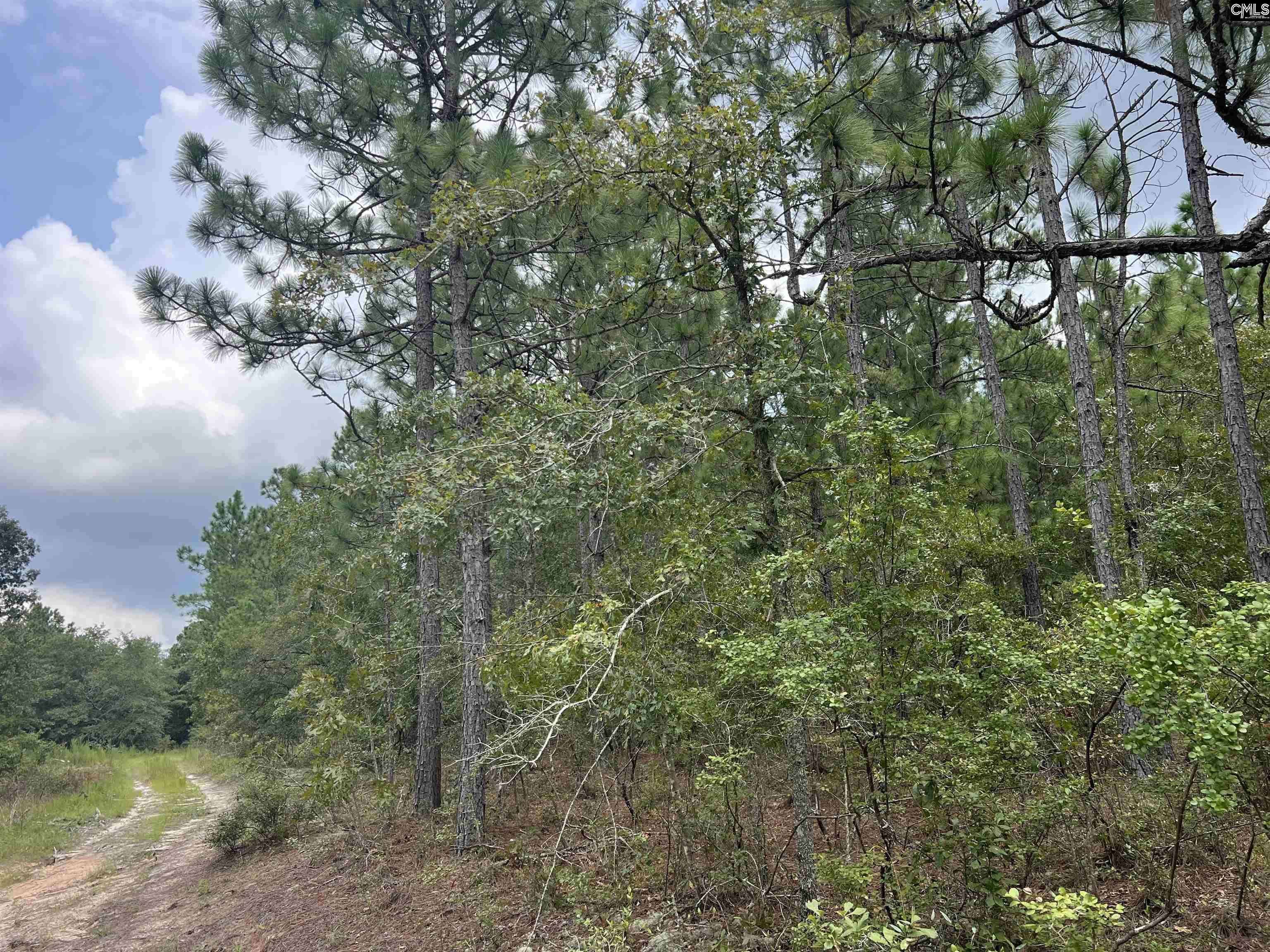 Pelion, SC 29123,0 Cliff Road #3