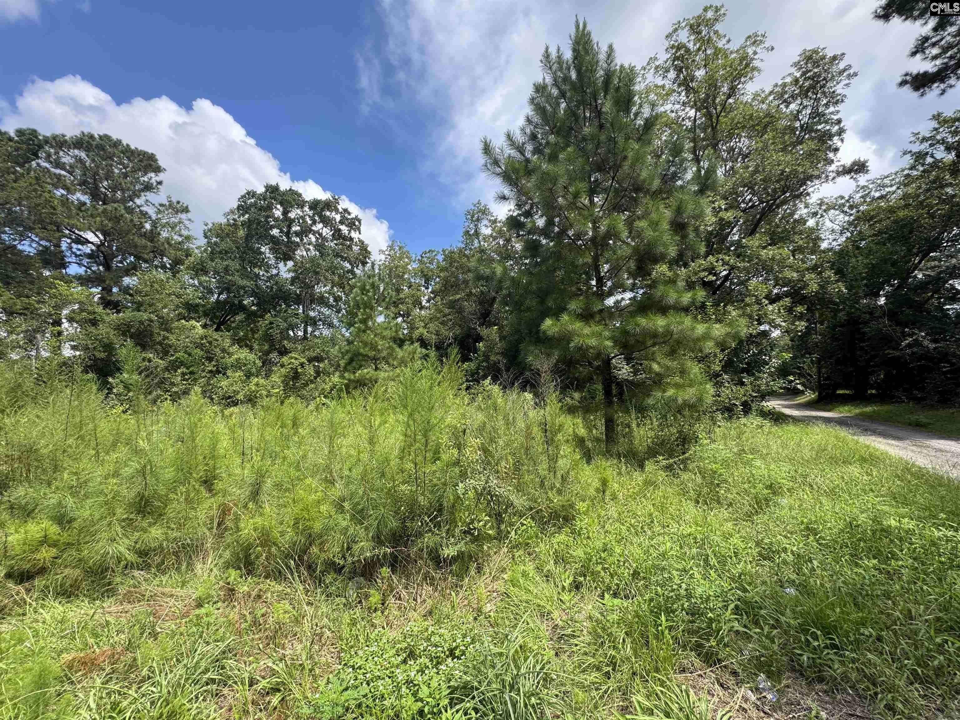 Orangeburg, SC 29115,604 Jamison Avenue