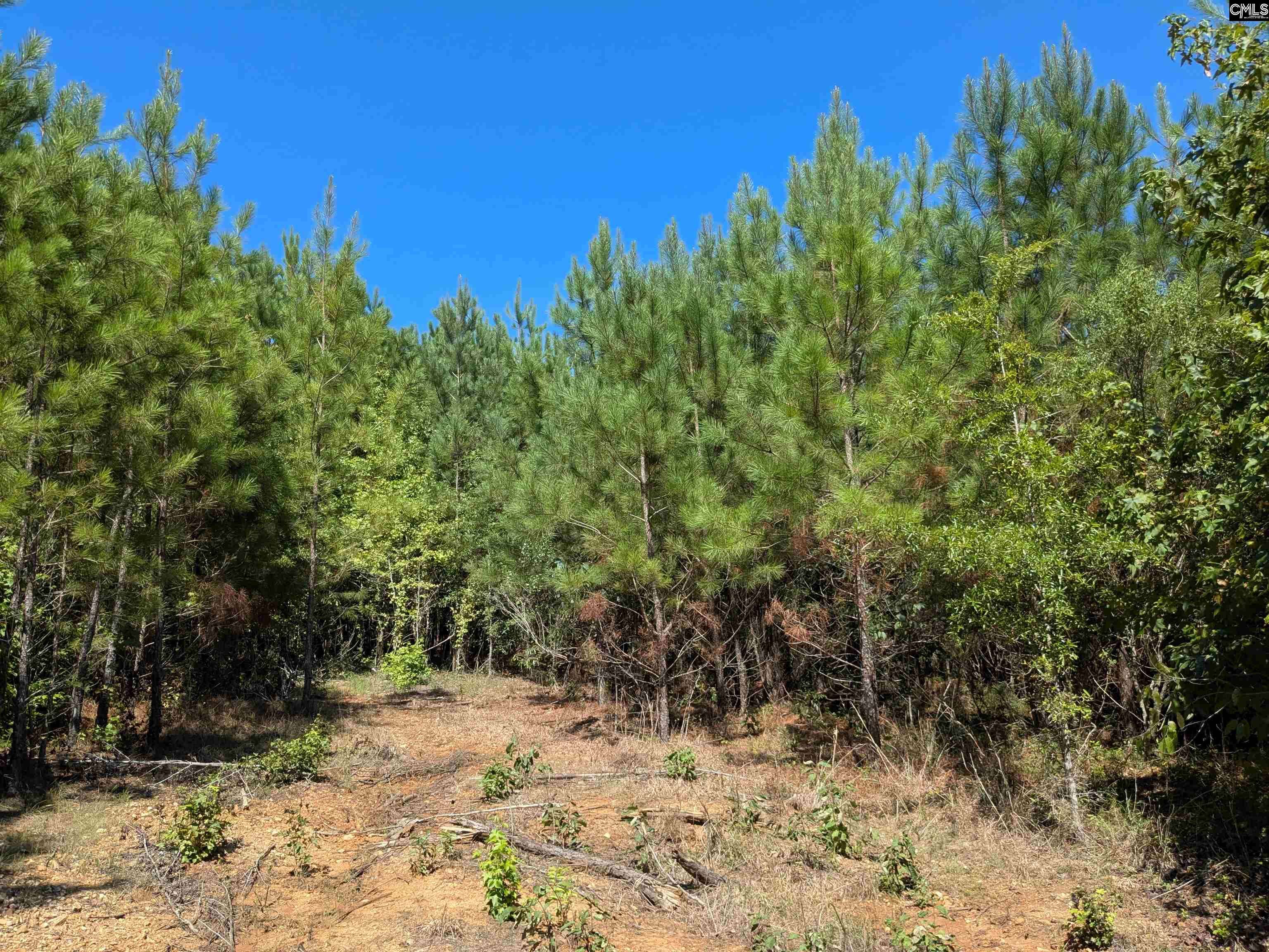 Columbia, SC 29203,0 Campground Road