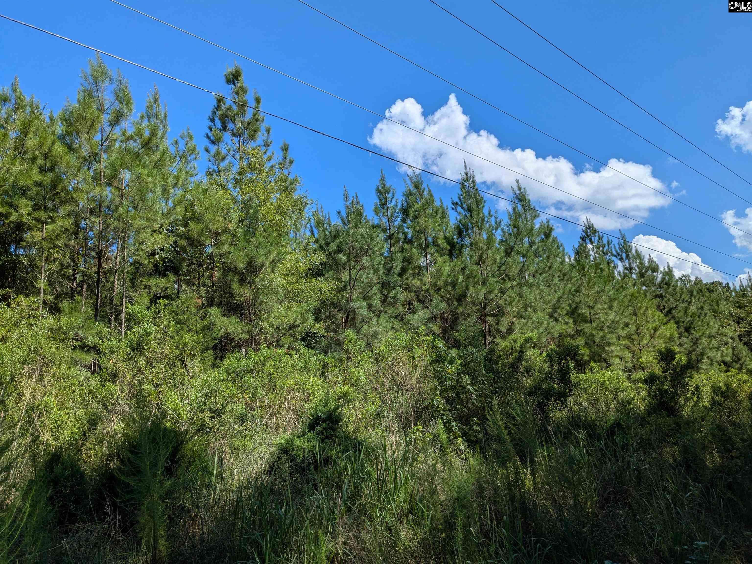 Columbia, SC 29203,0 Campground Road