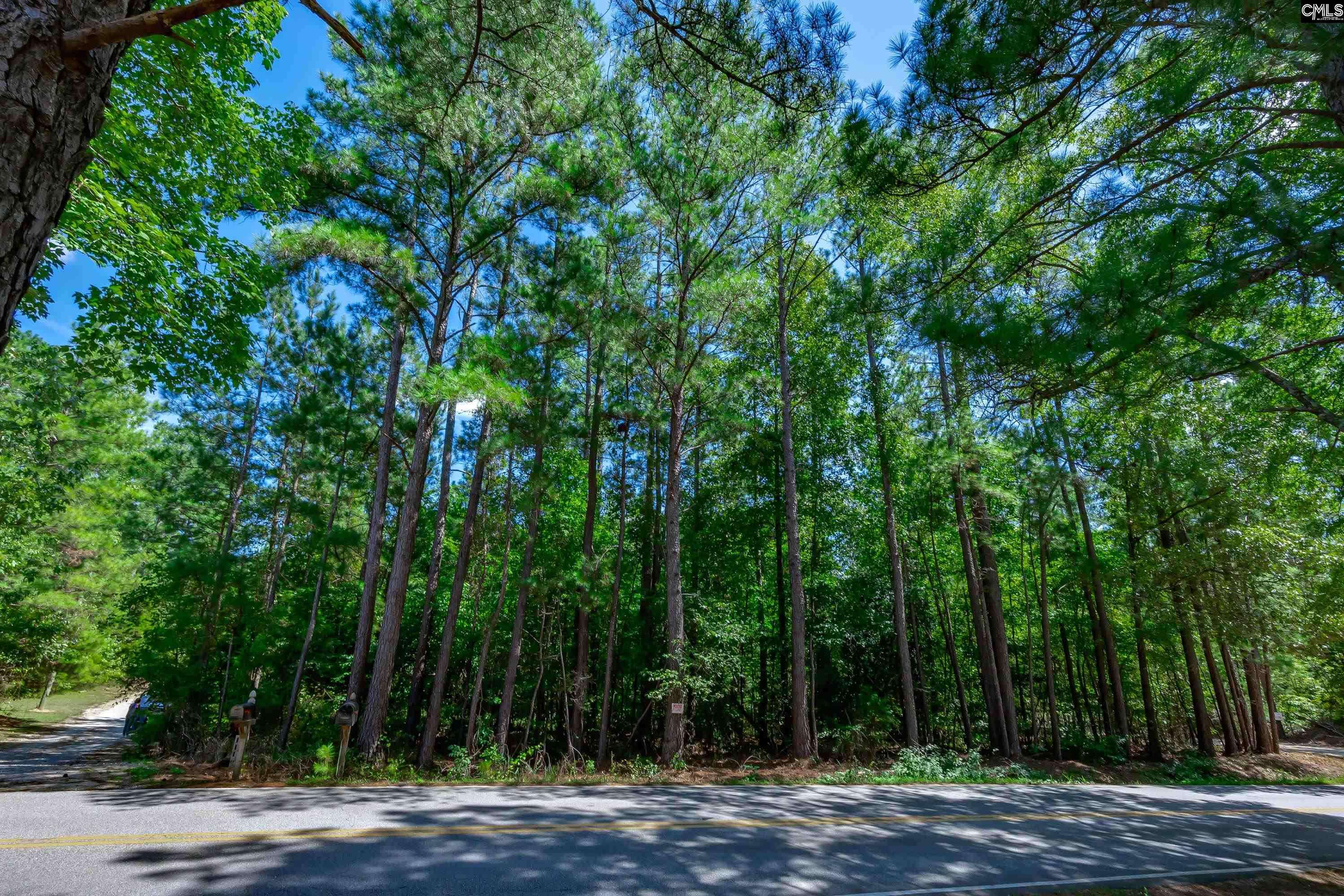 Chapin, SC 29036,1125 Dan Comalander Drive