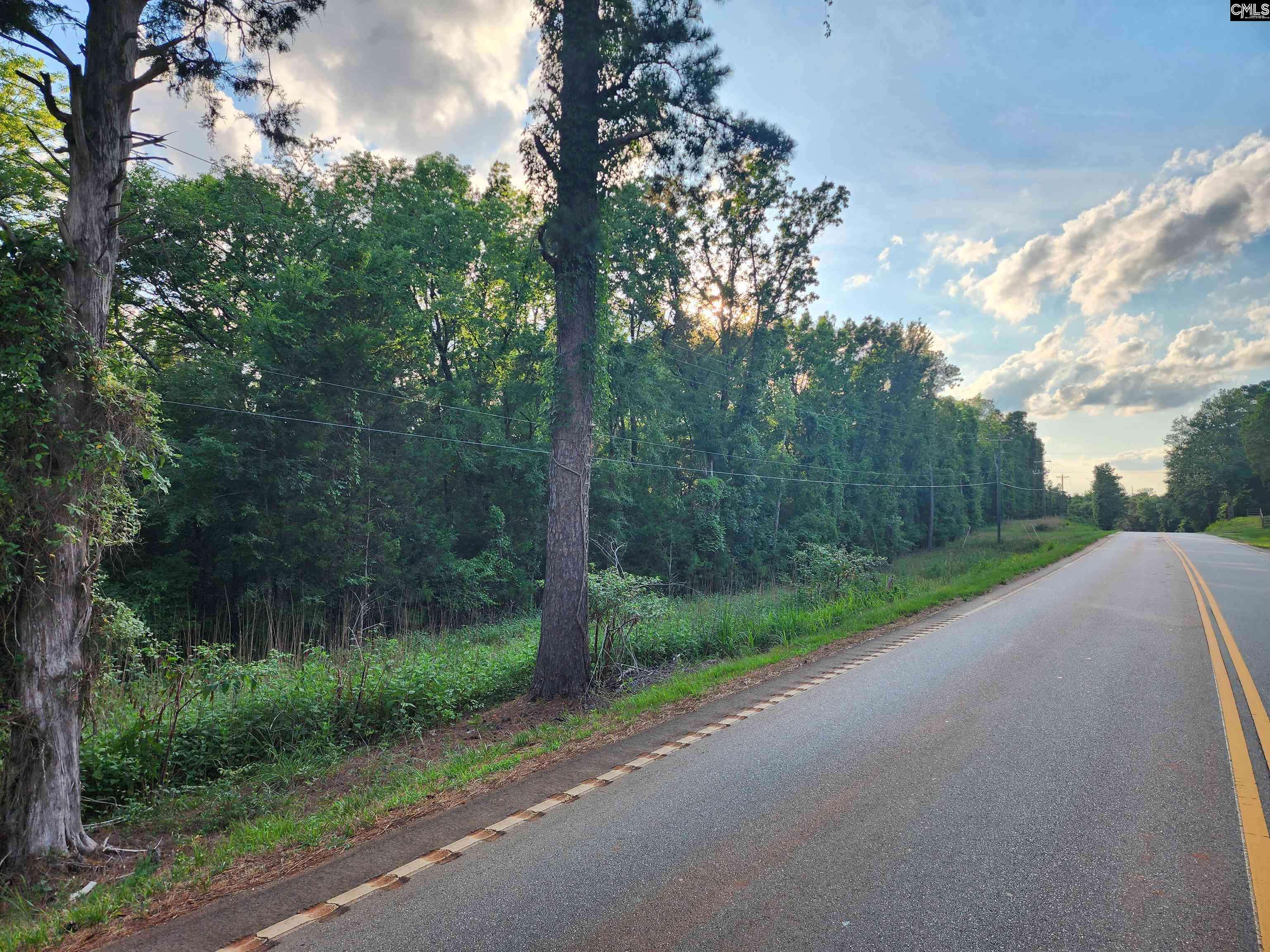 Jenkinsville, SC 29065,13294 State Hyw 215 South Highway S #Track B