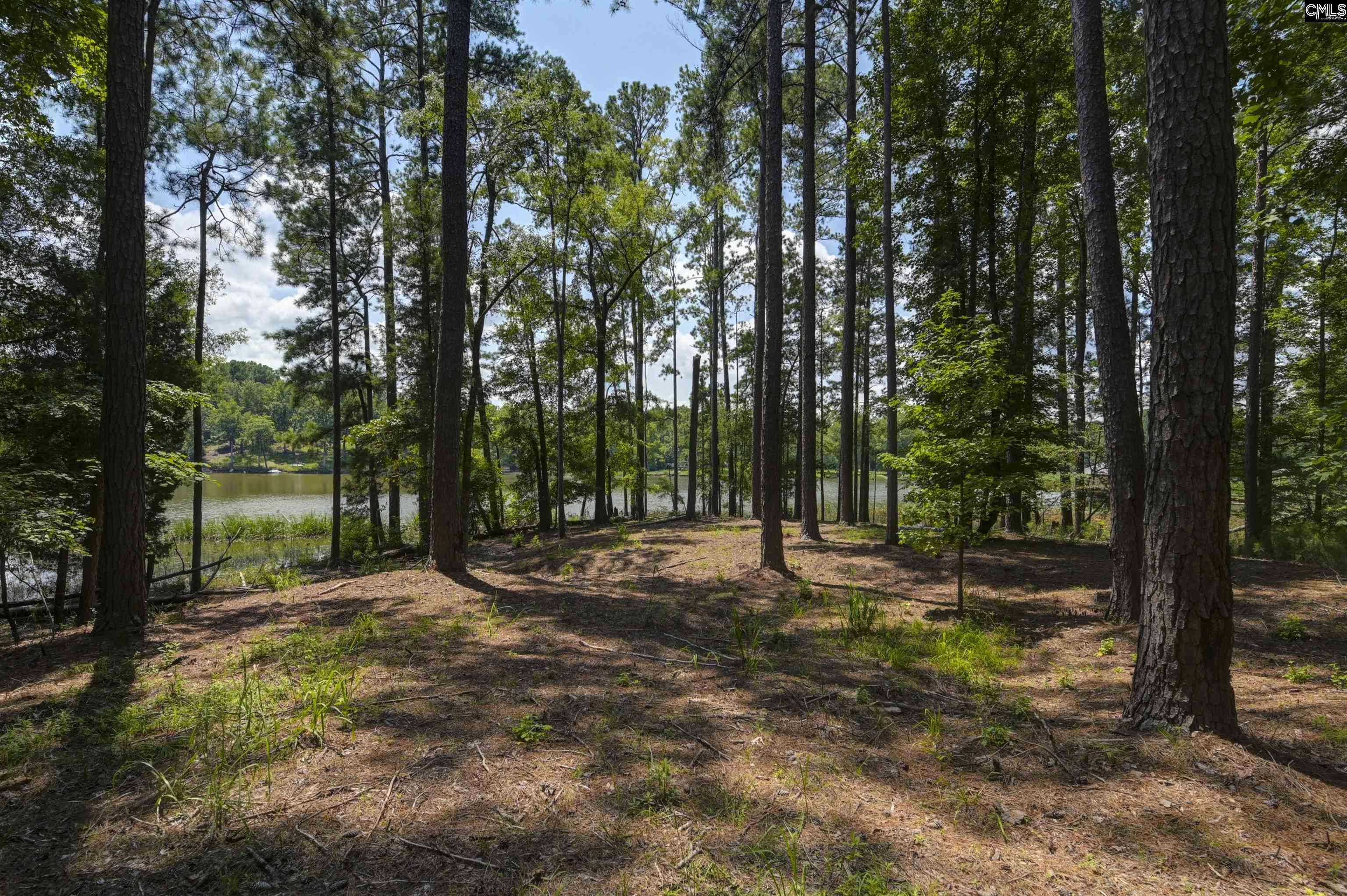 Ridgeway, SC 29130-0000,TBD Retreat Way