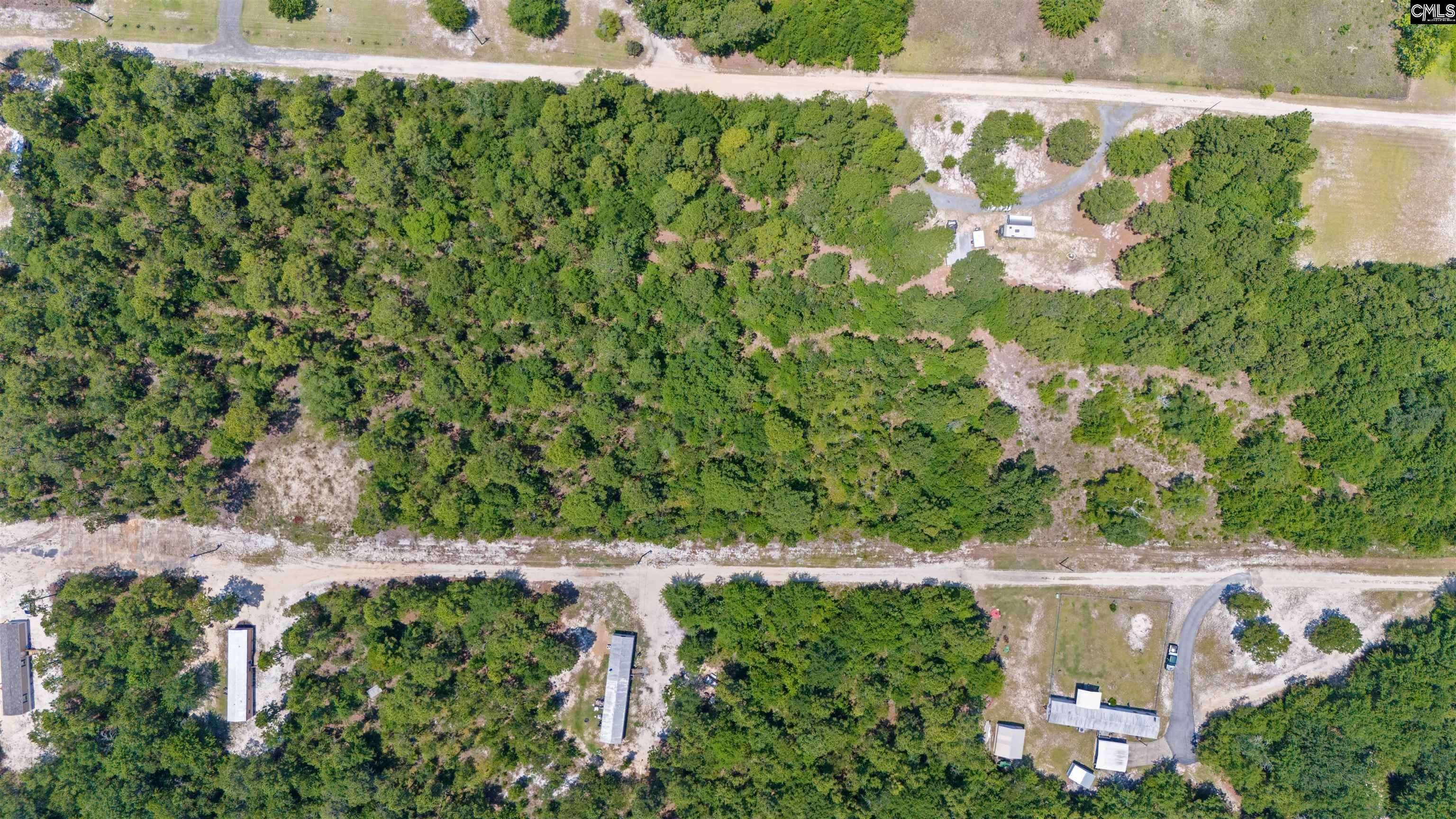 Gaston, SC 29053,TBD Lonnie Dowd Drive Lot 5 #LOT 5