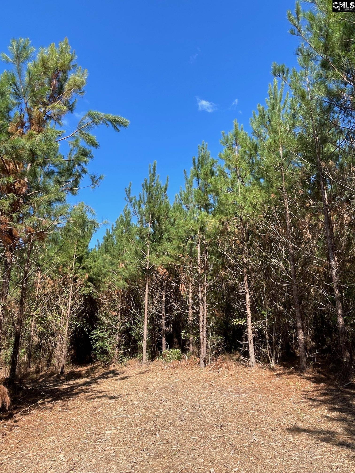 Camden, SC 29032-0000,1938 Old Georgetown Road W #3