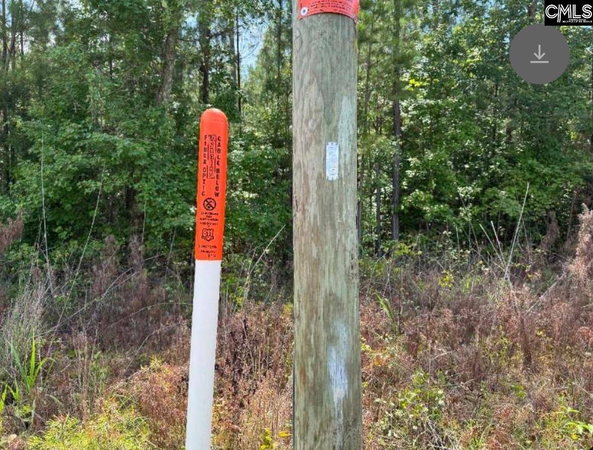 Ninety Six, SC 29138,Lot M2 Old Edgefield Road