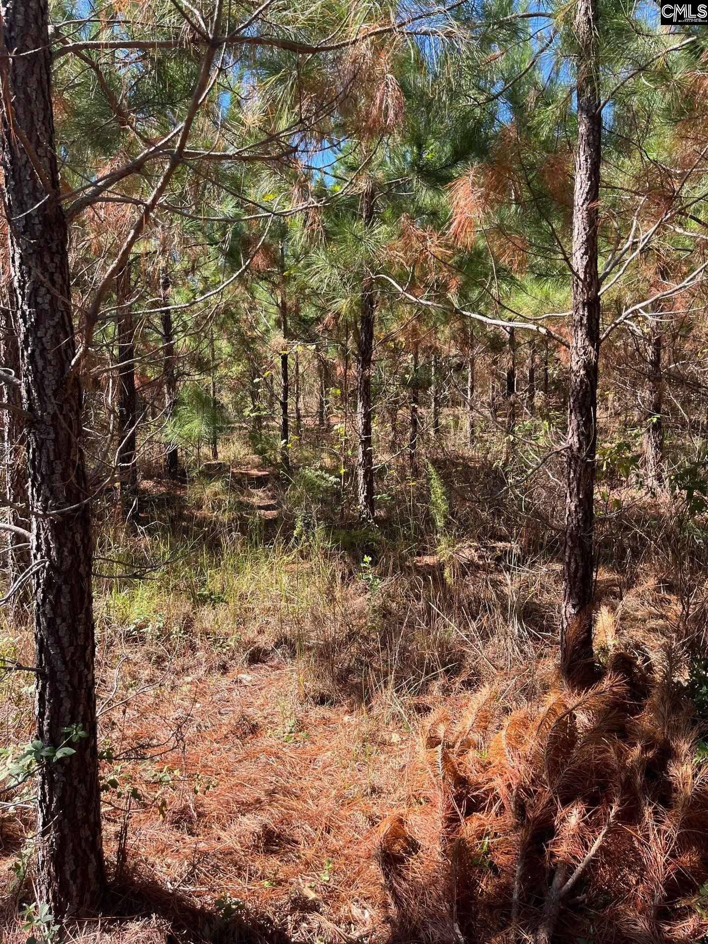 Patrick, SC 29584,BFF 1B JC Barefoot Road BFF 1B #BFF 1B