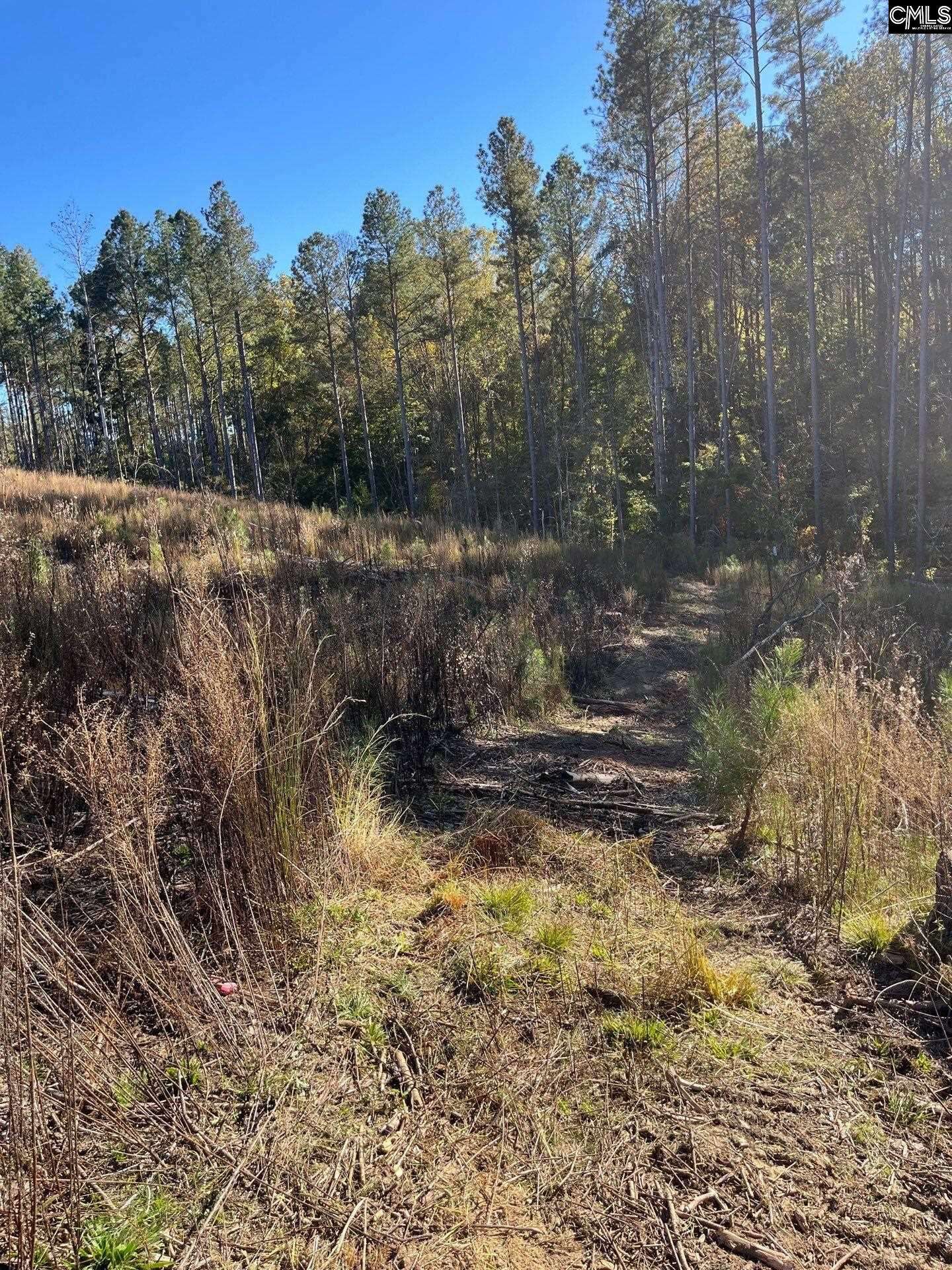 Pacolet, SC 29372,DRF 1 Dawkins Road DRF 1