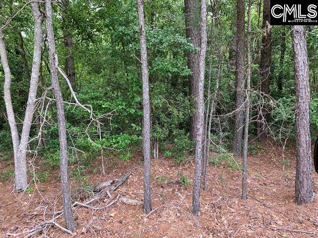 Gilbert, SC 29054,436 Peach Festival Road