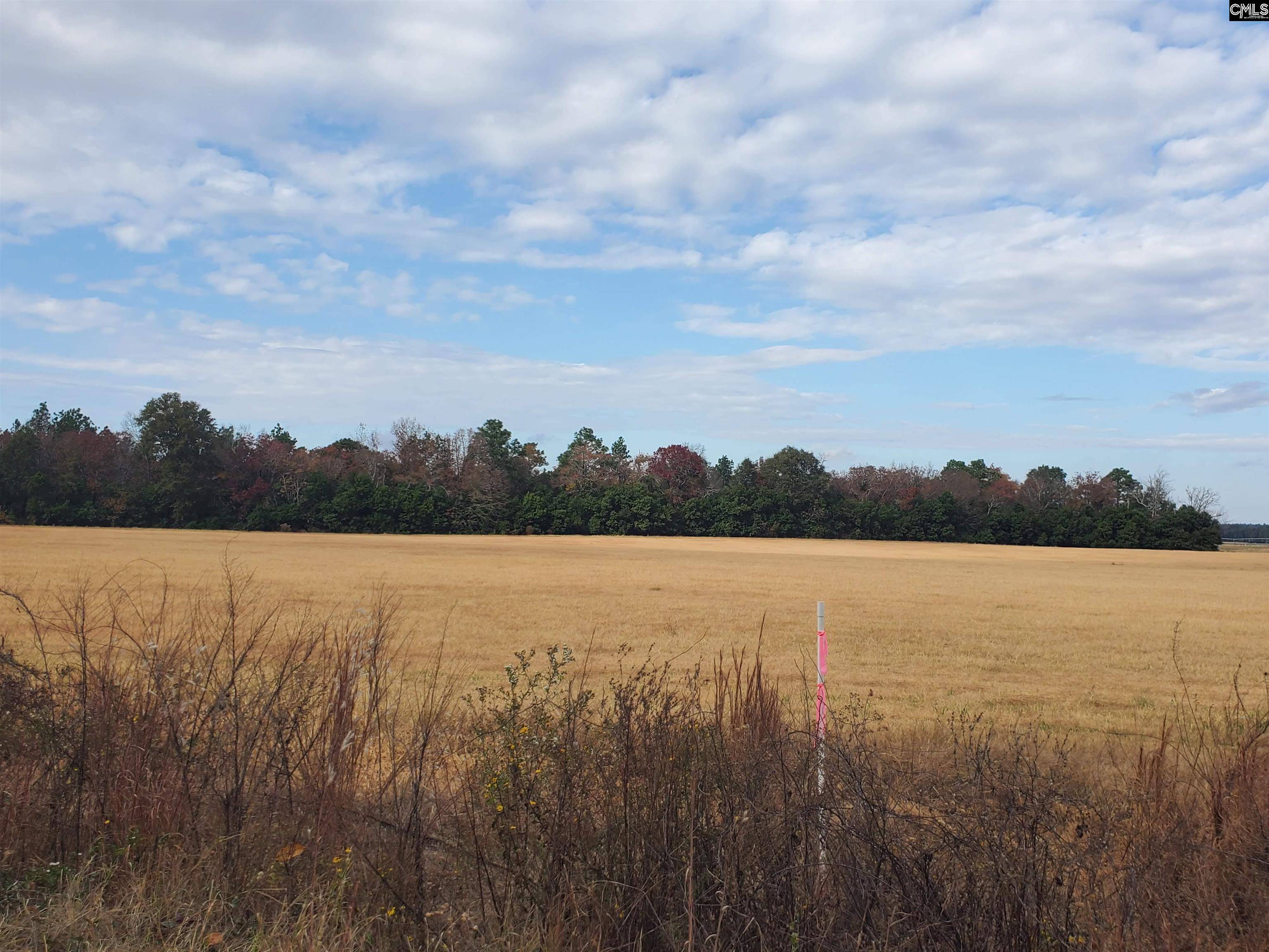 Pelion, SC 29123,Lot 2 Water Tank Road