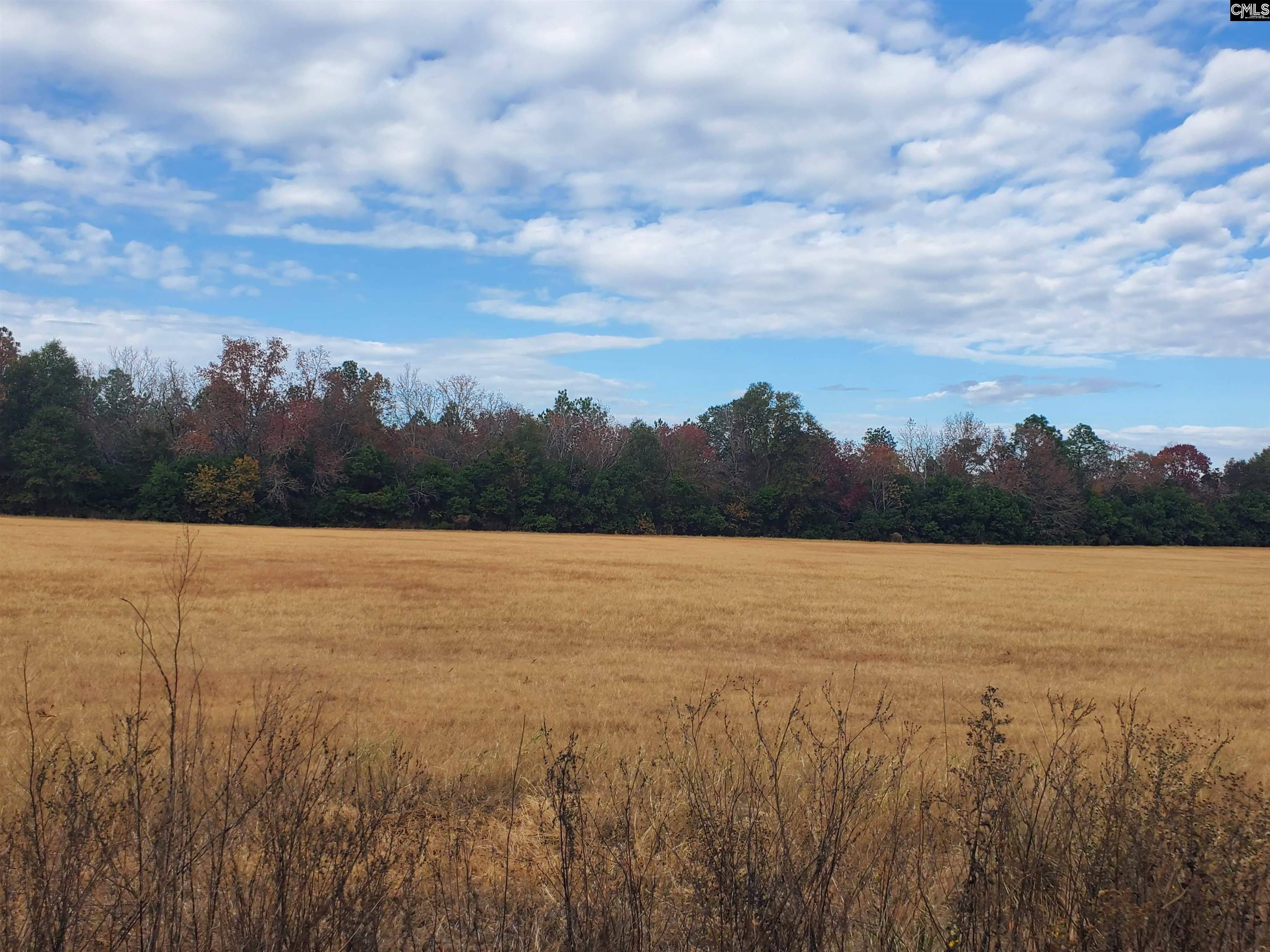 Pelion, SC 29123,Lot 3 Water Tank Road