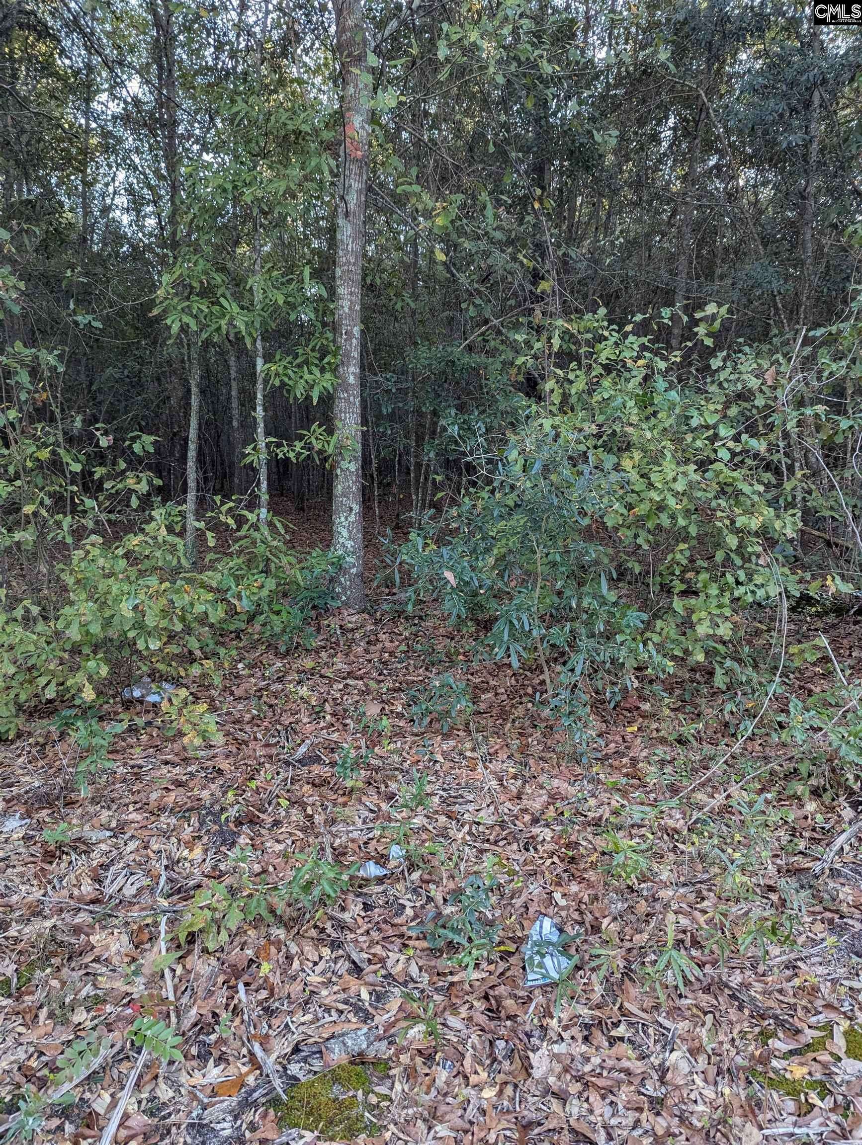 Kershaw, SC 29067,45 Fletcher Drive #lot 3