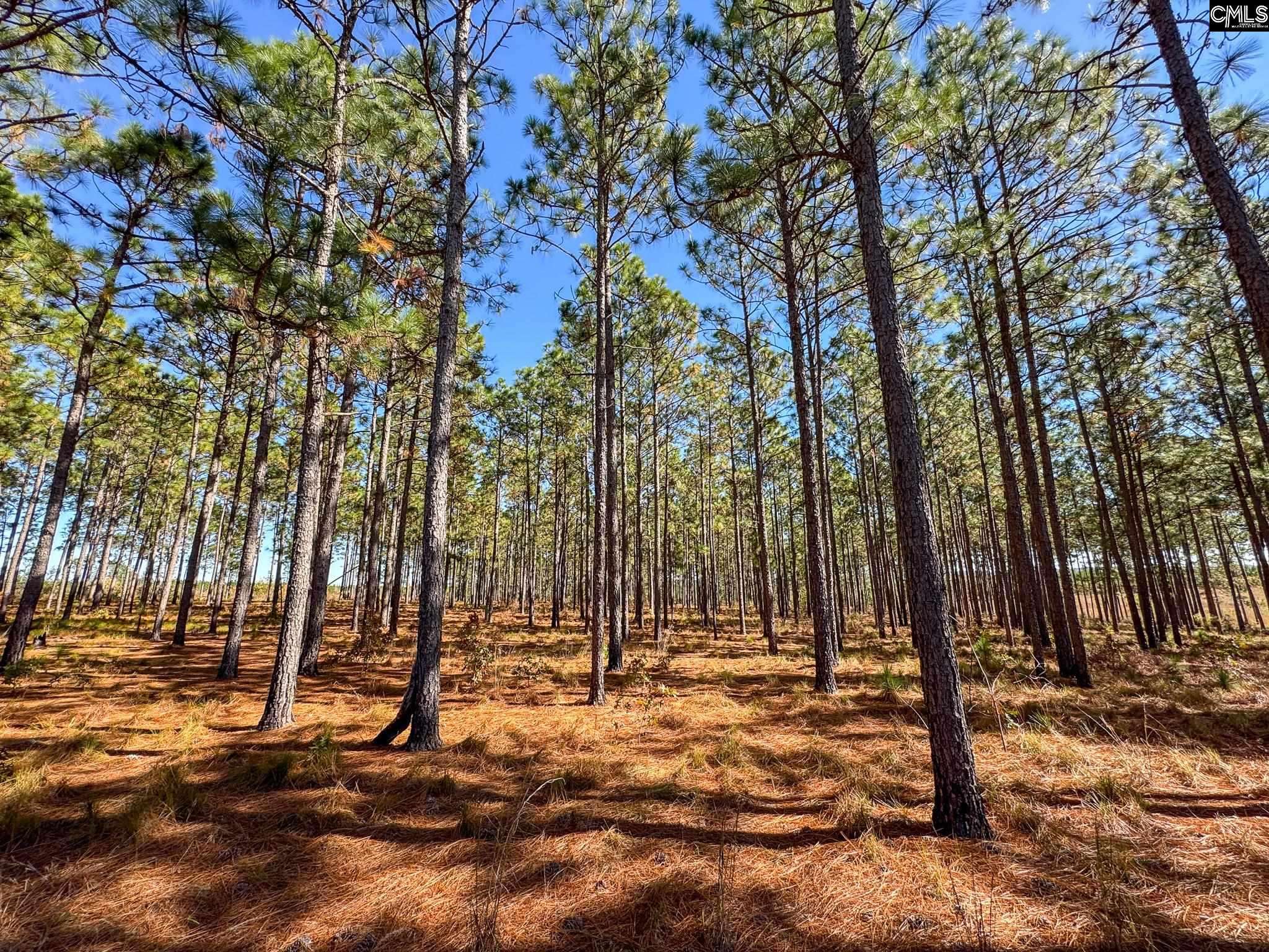 Leesville, SC 29070,0 Bethel Lane