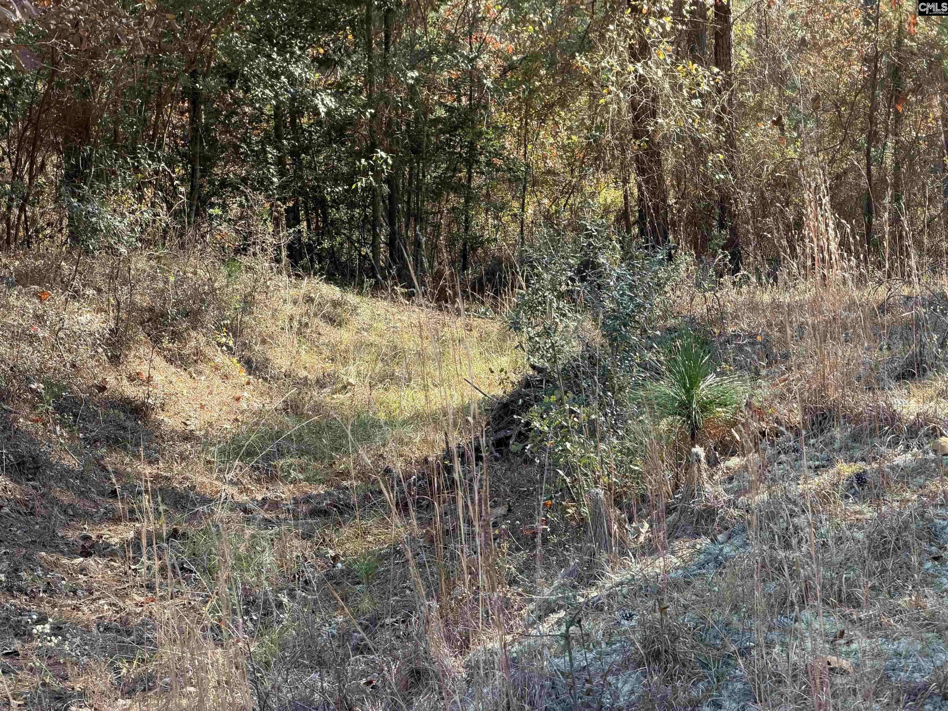 Camden, SC 29020-0000,1043 Oakland Drive