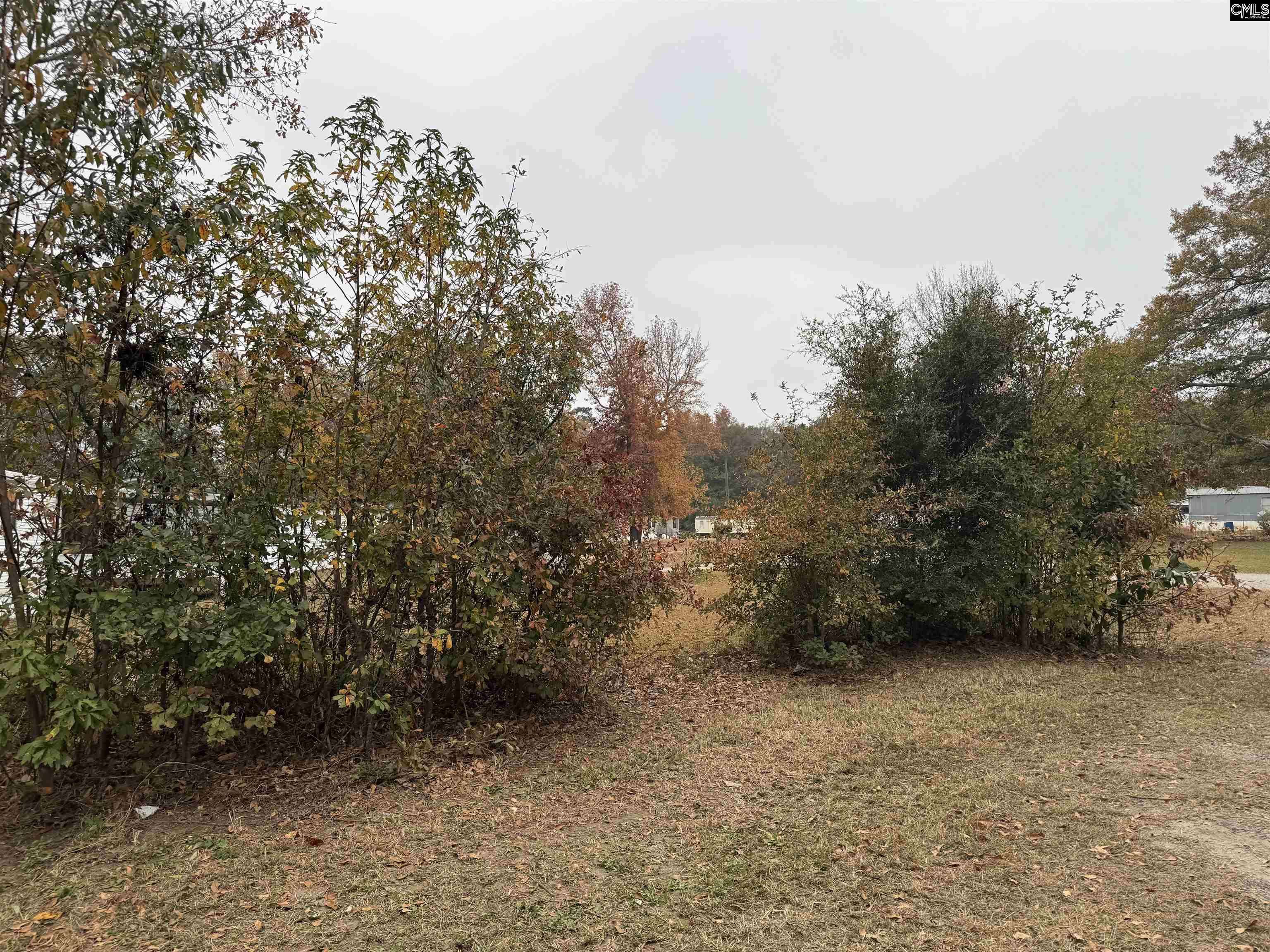 Orangeburg, SC 29115,409 Palm Harbor Drive