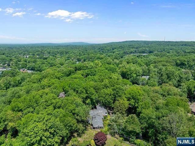 Cresskill, NJ 07626,3 Lambs LN