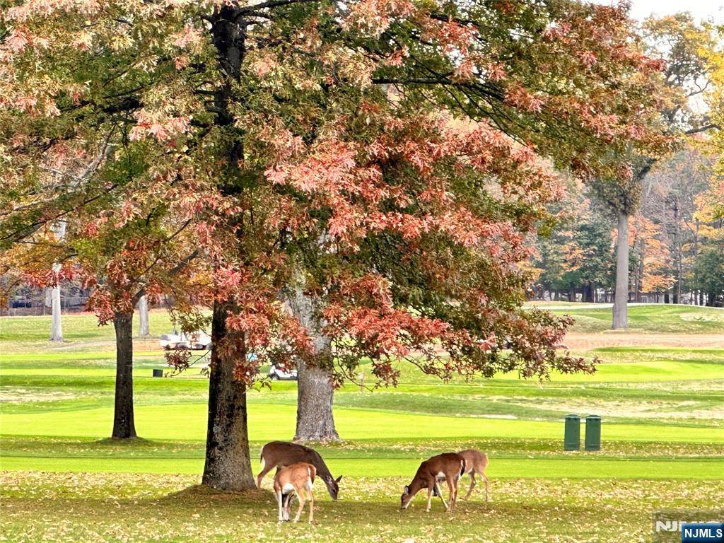 River Vale, NJ 07675,13 Royal Birkdale CT