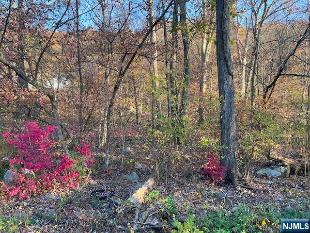 Jefferson Township, NJ 07438,9 Old Woodland TRL