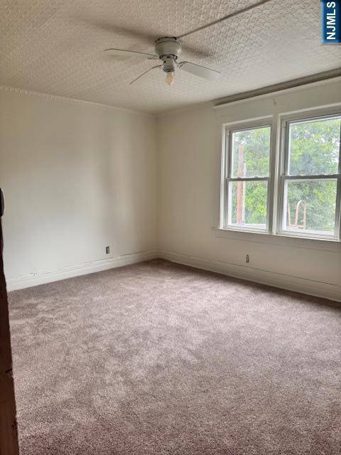 Orange, NJ 07050,207 Taylor ST #2