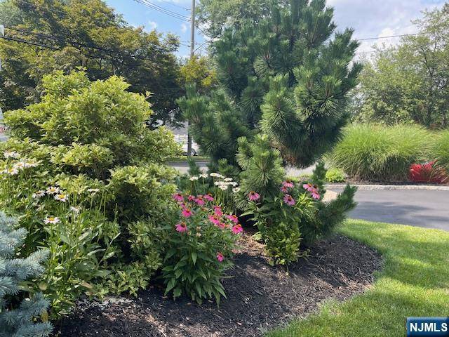 Waldwick, NJ 07463,65 W Saddle River RD
