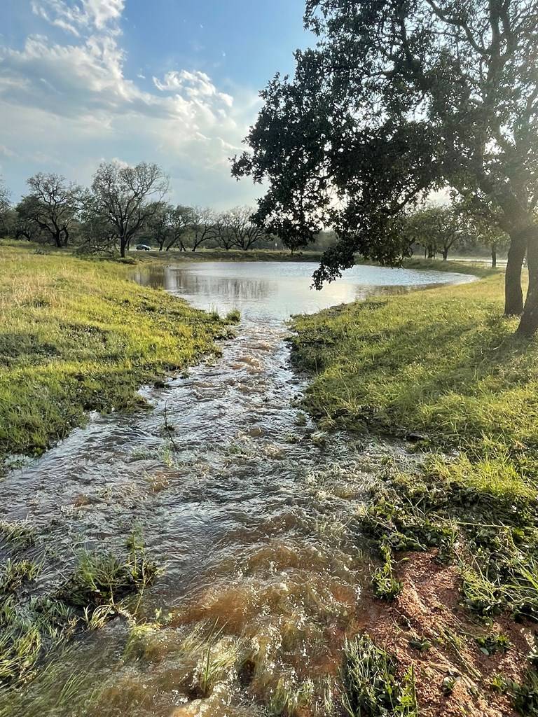 Fredonia, TX 76842,9445 State Hwy 71