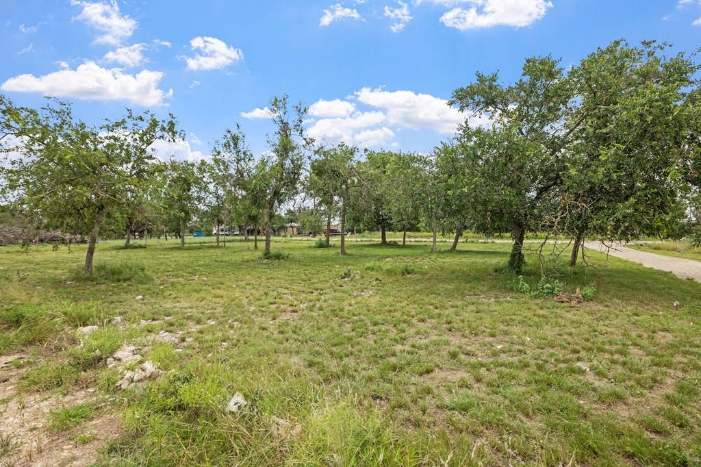 Harper, TX 78631,143 Michael Dr