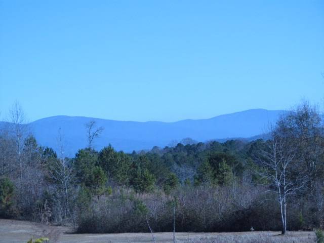 Chatsworth, GA 30705,00 Indian Trace Drive