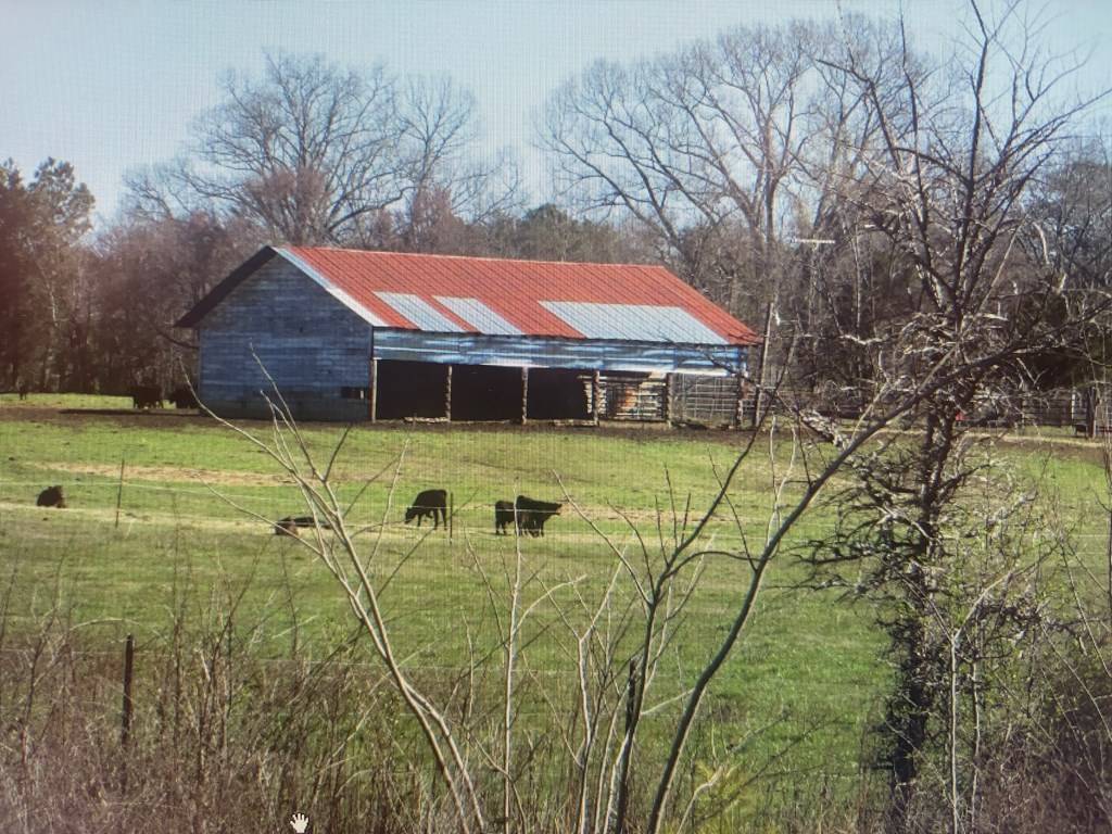 Chatsworth, GA 30705,6963 Hwy 225