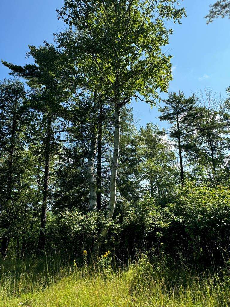 Fish Creek, WI 54212,#8 Eagle Ledge Ln