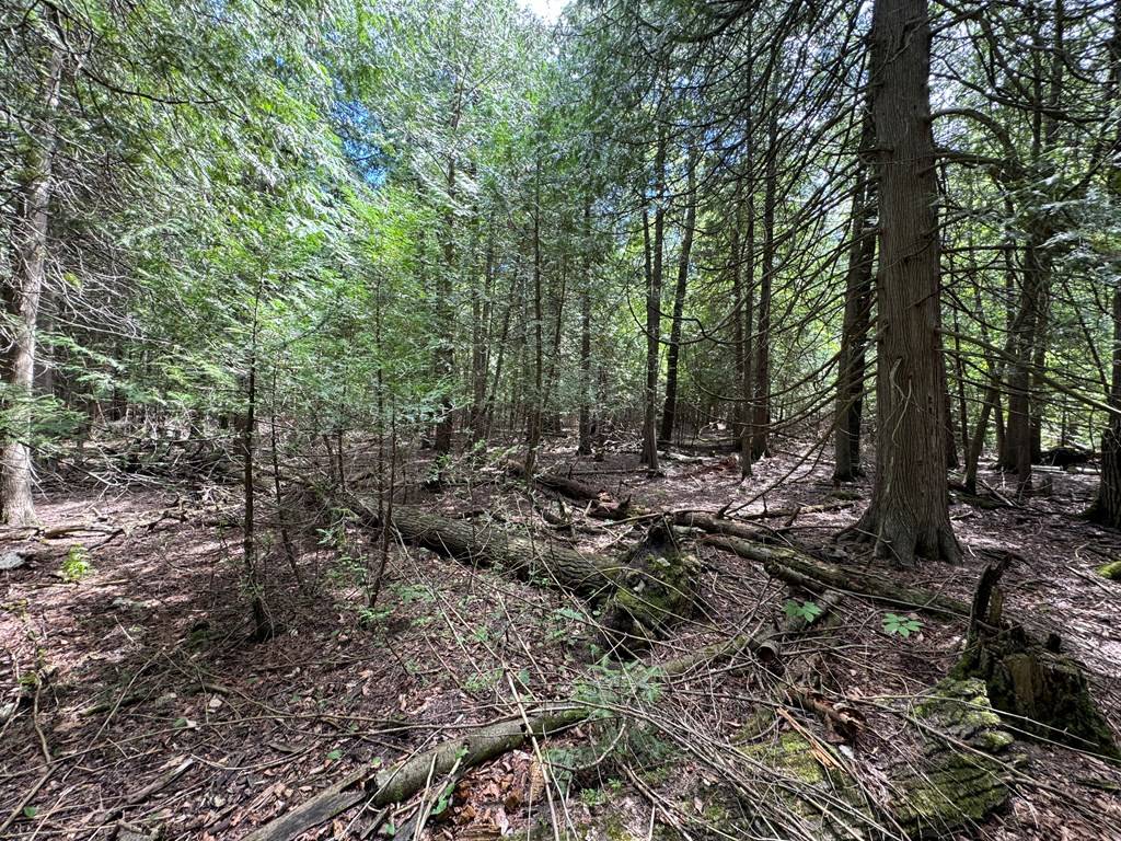 Egg Harbor, WI 54209,Lot 1 Horseshoe Bay Rd