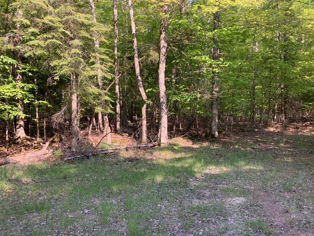 Washington Island, WI 54246,TBD Bjarnarson Dr