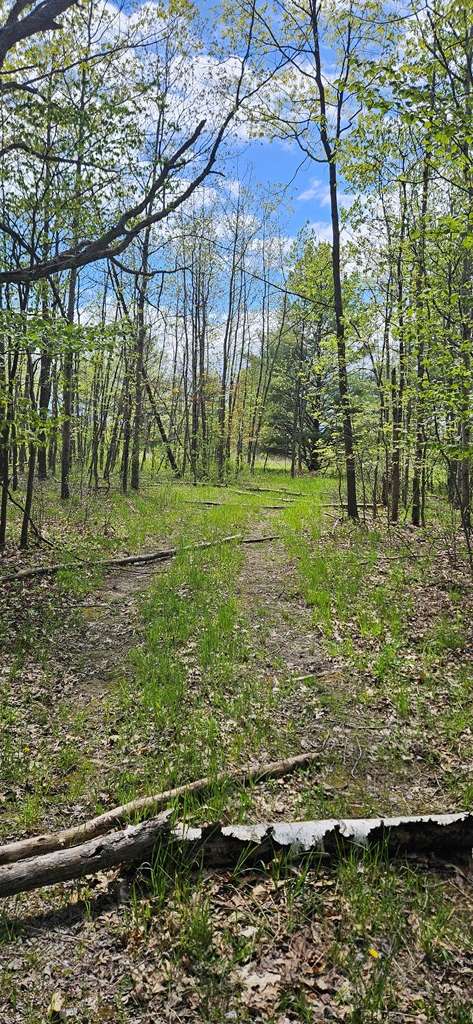 Sturgeon Bay, WI 54235,Happy Valley Rd