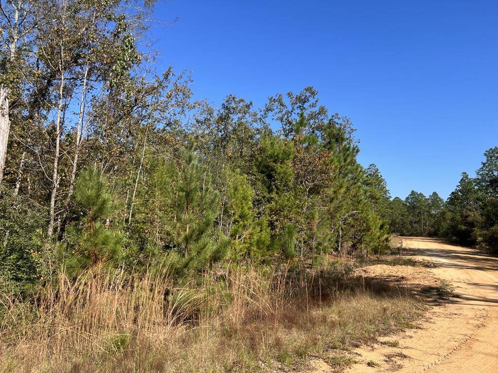 Alford, FL 32420,LOT 30 Yvette Dr