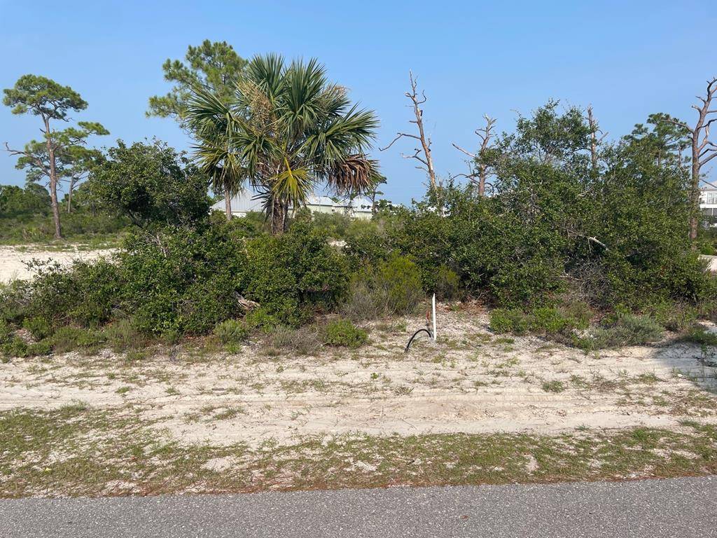 Cape San Blas, FL 32456,Lot 8A Mccosh Mill Rd