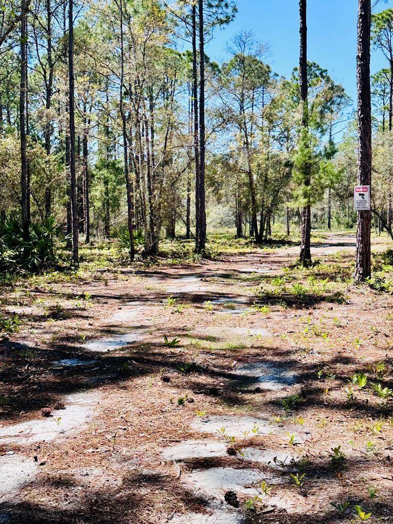 Carrabelle, FL 32322,321 Baywood Dr