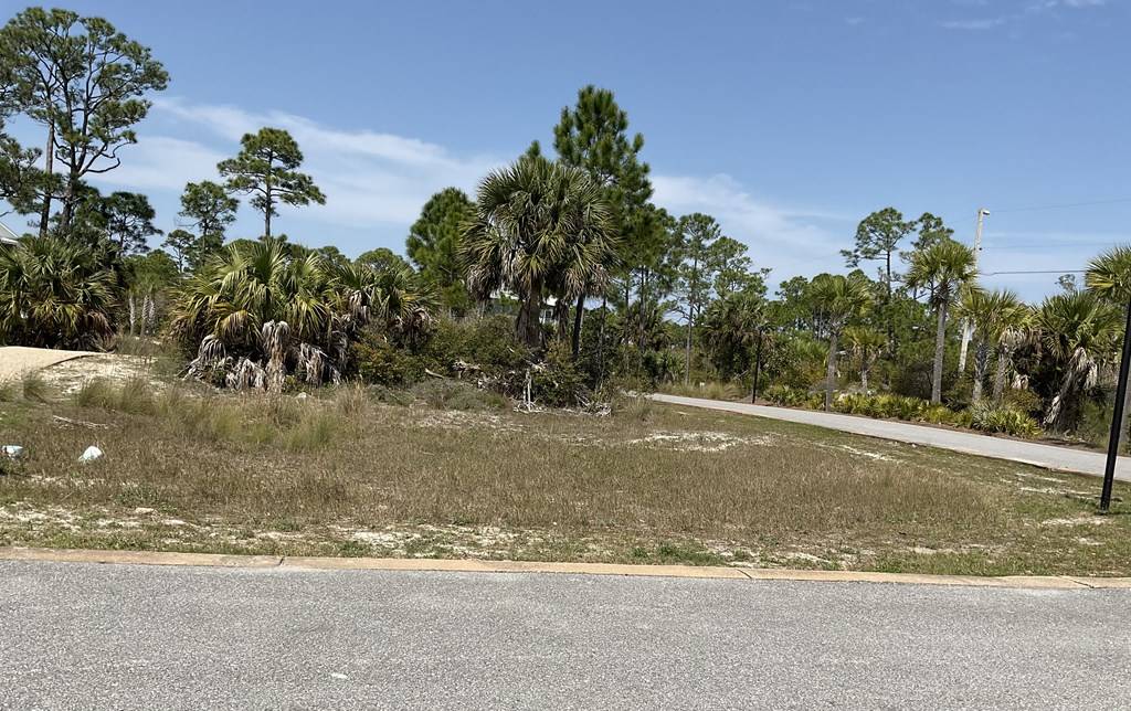 Cape San Blas, FL 32456,Lot 47 Jubilation Dr