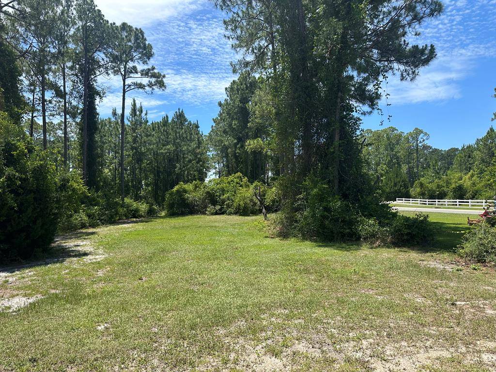 Carrabelle, FL 32322,102 Royal Tern Way