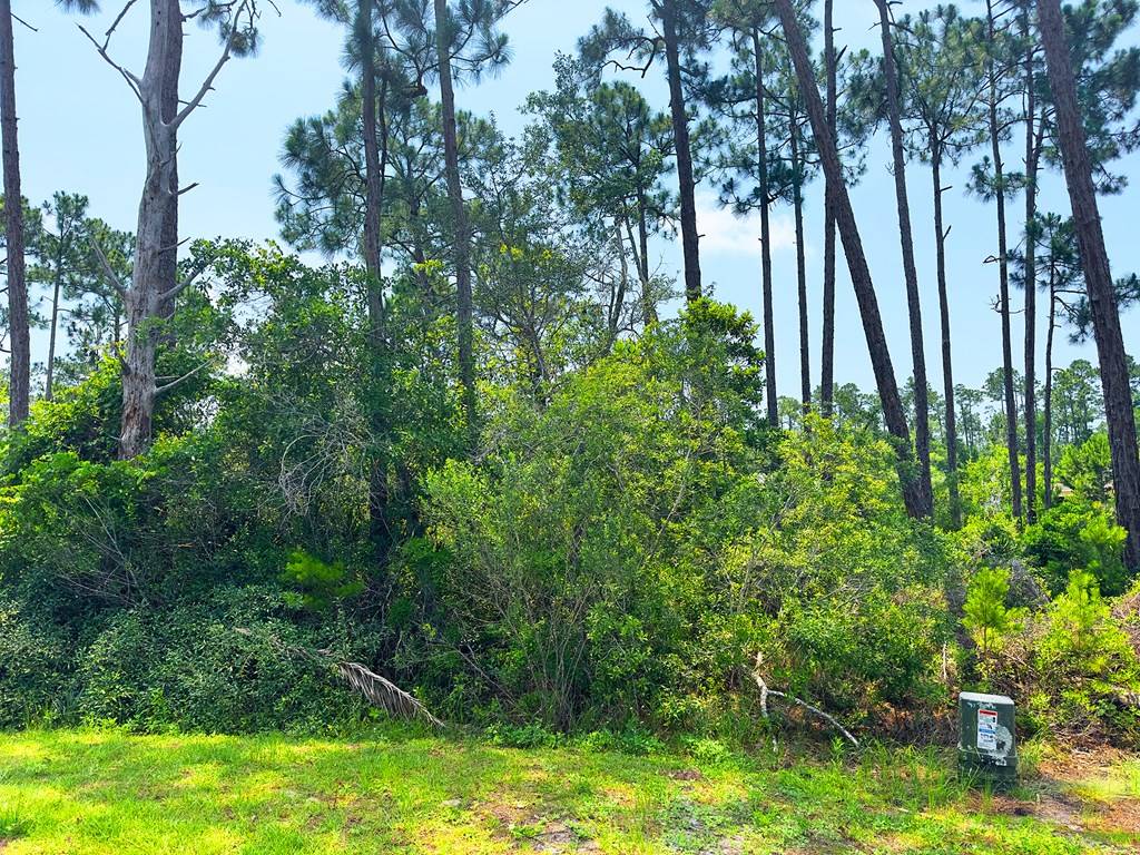 Port St. Joe, FL 32456,308 Sea Haven Dr