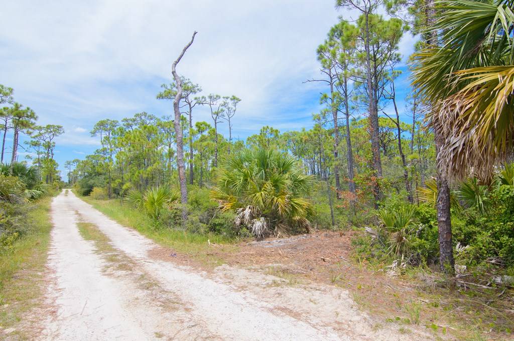St. George Island, FL 32328,1401 E Gulf Beach Dr
