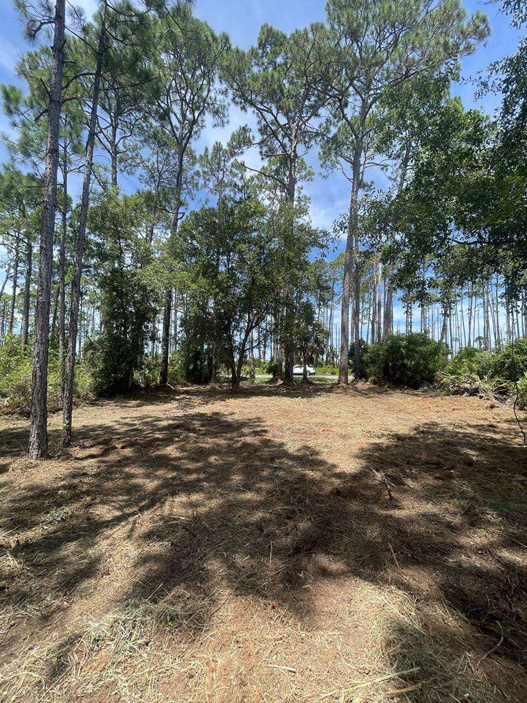 Cape San Blas, FL 32456,Lot 9 Sr 30-a