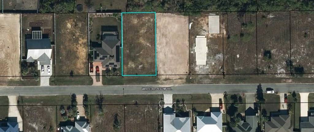 Port St. Joe, FL 32456,LOT 9 White Blossom Trl