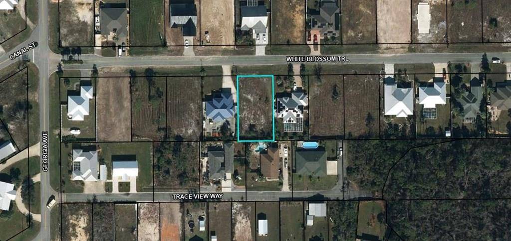 Port St. Joe, FL 32456,Lot 31 White Blossom Trl