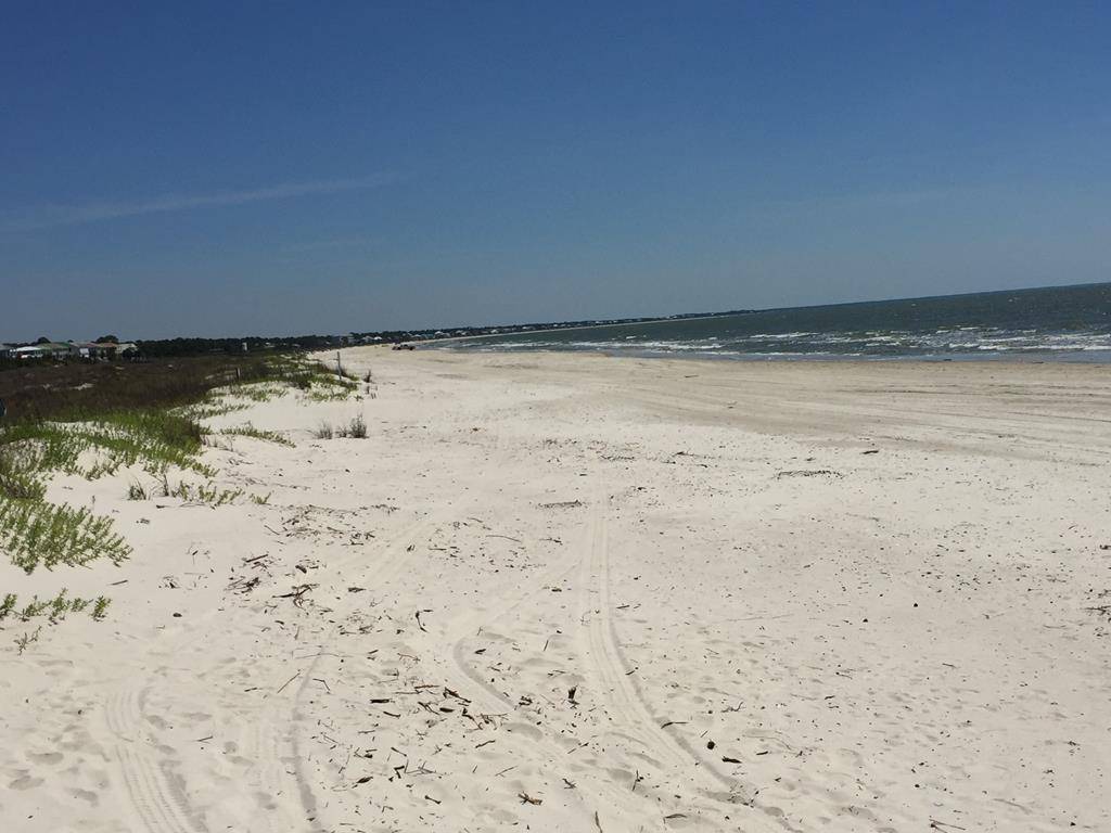 Port St. Joe, FL 32456,Lot 31 White Blossom Trl