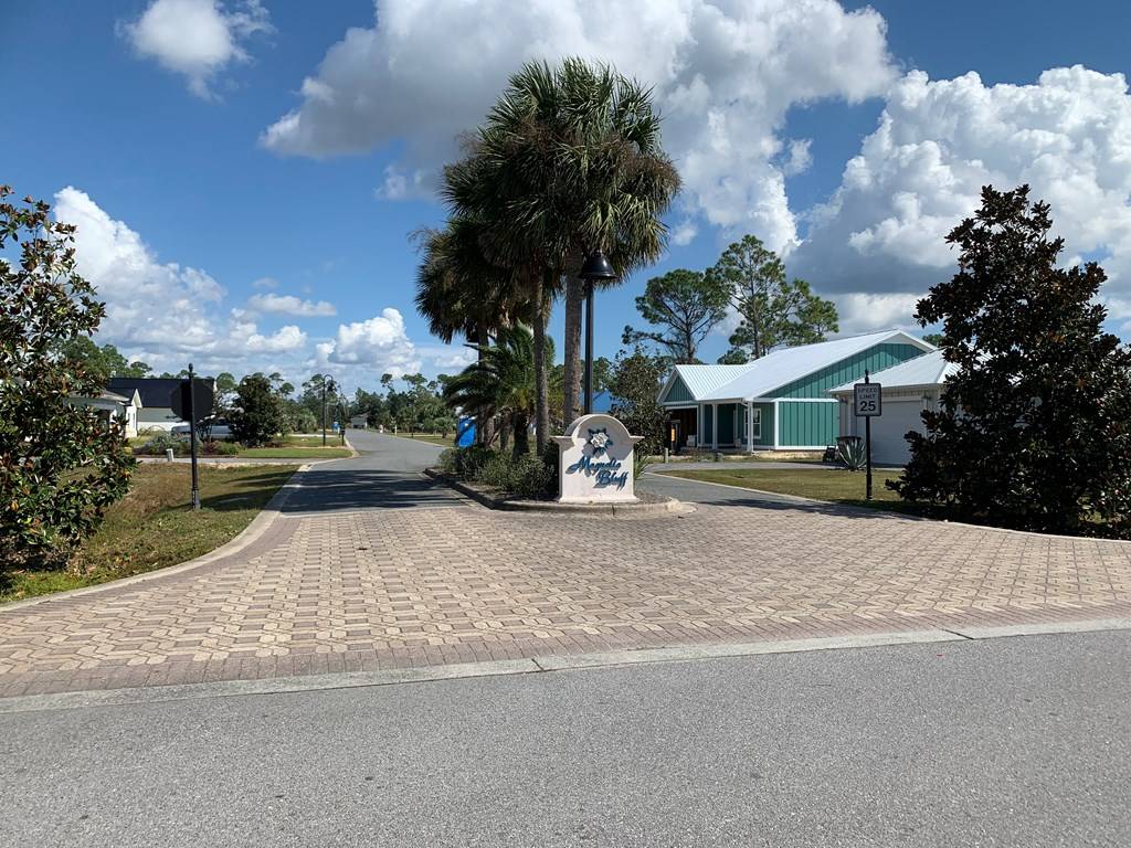 Port St. Joe, FL 32456,Lot 31 White Blossom Trl