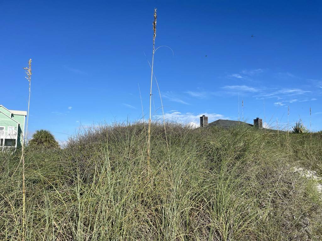 Cape San Blas, FL 32456,TBD Cape San Blas Rd