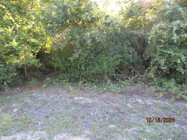 Carrabelle, FL 32322,158 Kansas St