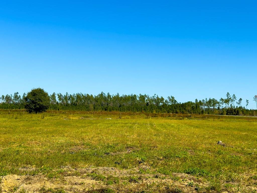 Wewahitchka, FL 32465,Lot 16 Harmony St