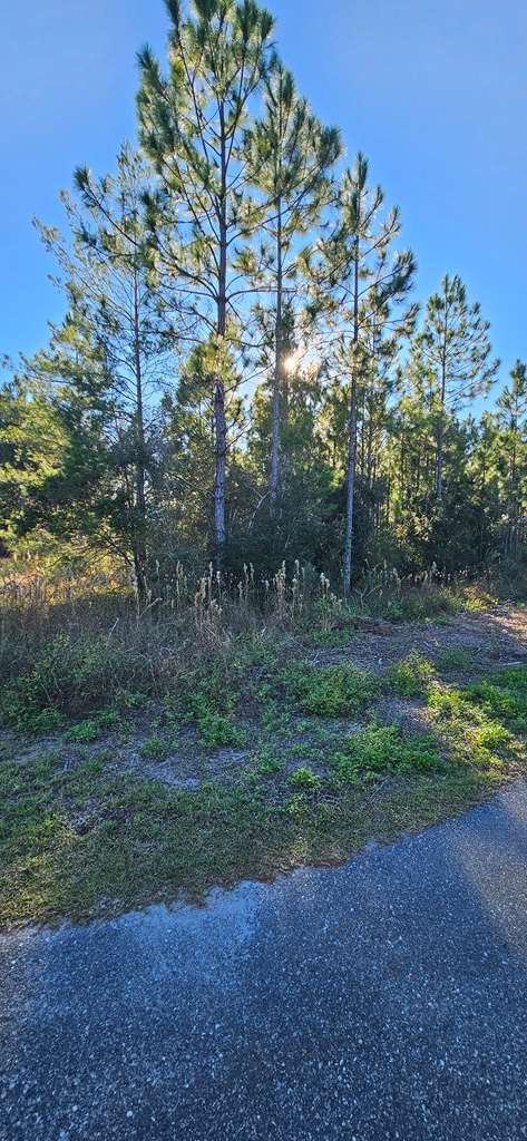 Carrabelle, FL 32322,915 Ne 6th St